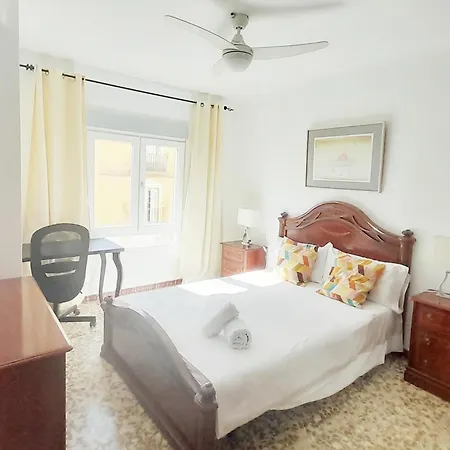 Apartment En El Centro Amplio Y Confortable Malaga